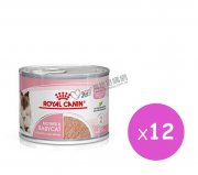 Royal Canin 1-4個月BB貓罐頭195g(12罐)