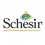 Schesir